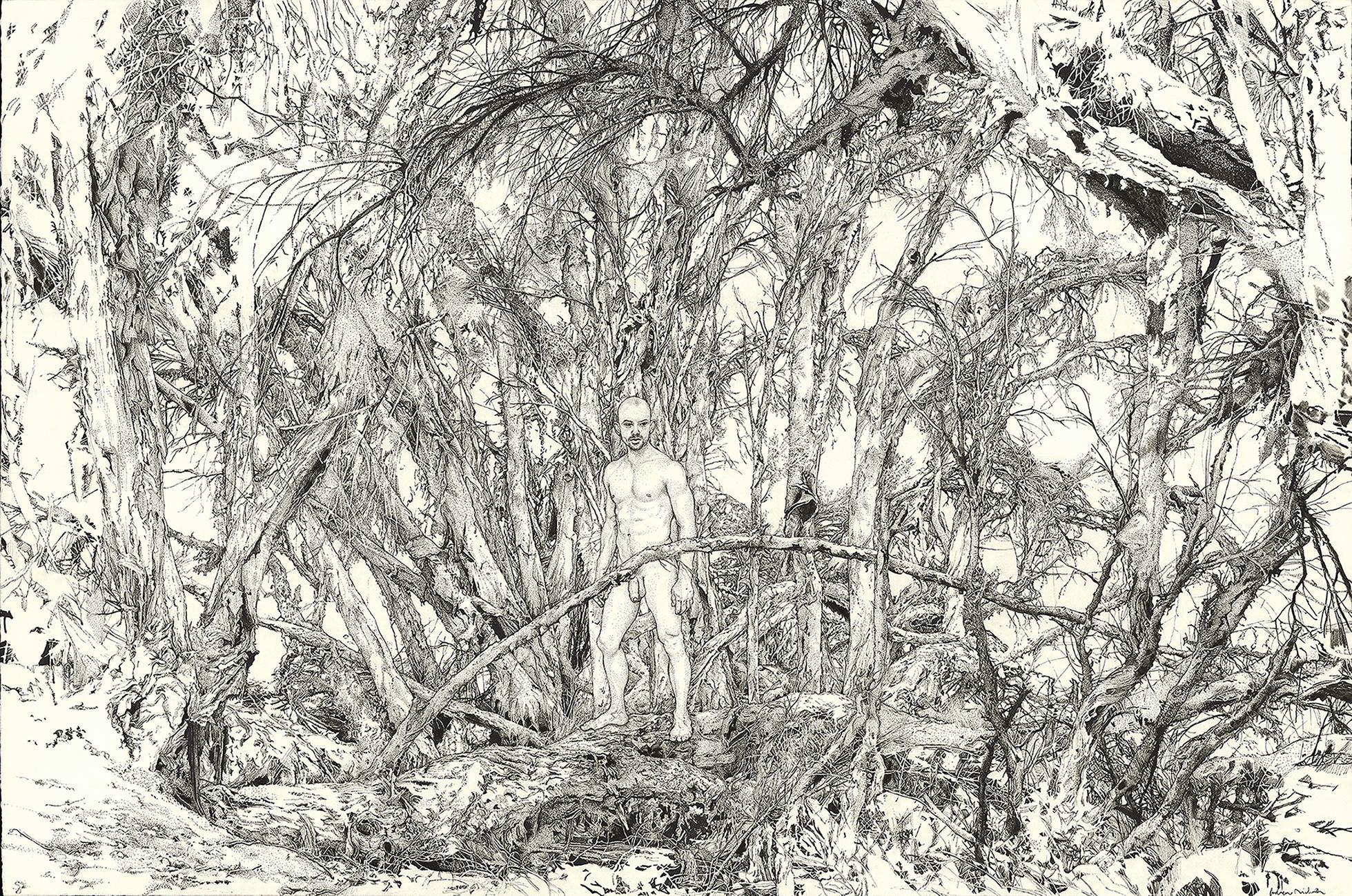 Andrew Nicholls