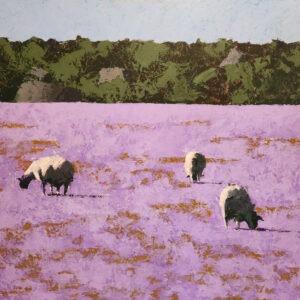 Alastair Taylor, Namaqualand sheep 2024, acrylic on board, courtesy the artist.