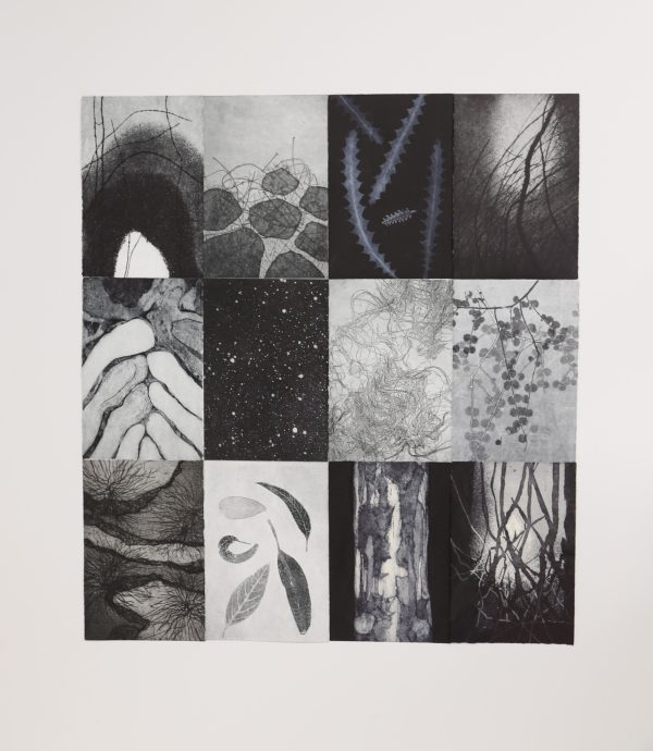 Shelley Cowper