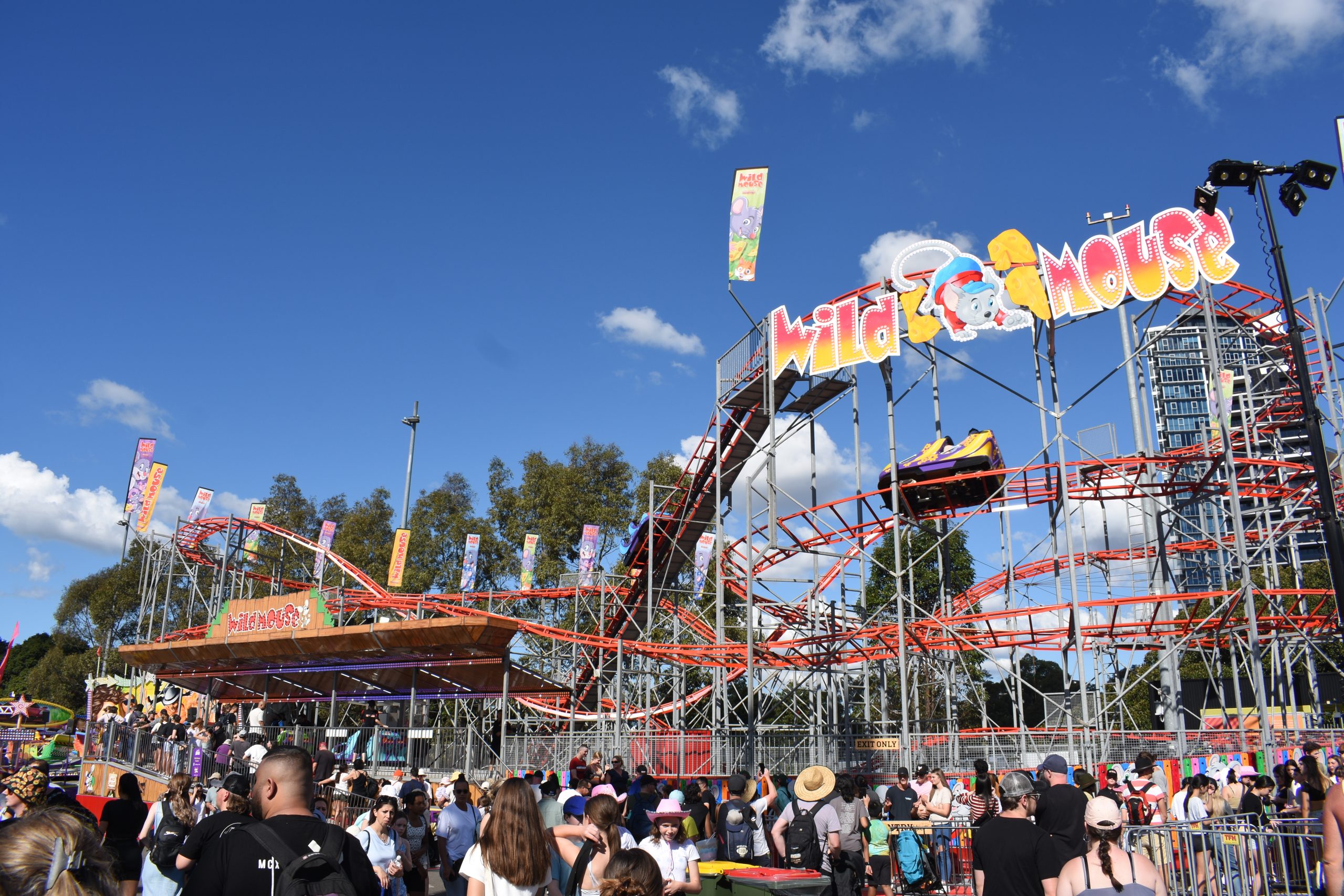 WILD MOUSE Janelle Melonas